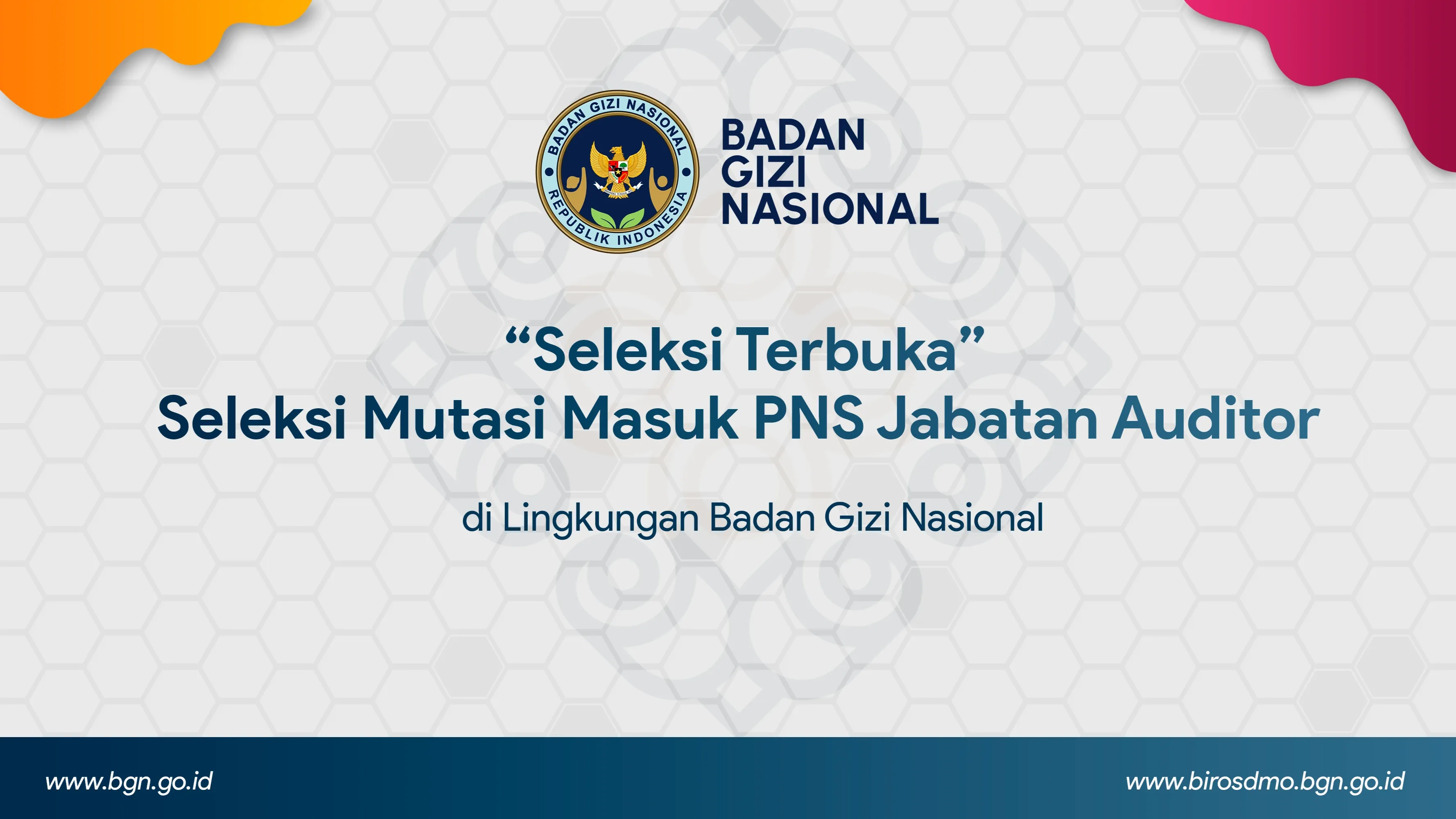 Seleksi Terbuka - Seleksi Mutasi Masuk PNS Jabatan Auditor di Lingkungan Badan Gizi Nasional Tanjung Pinang